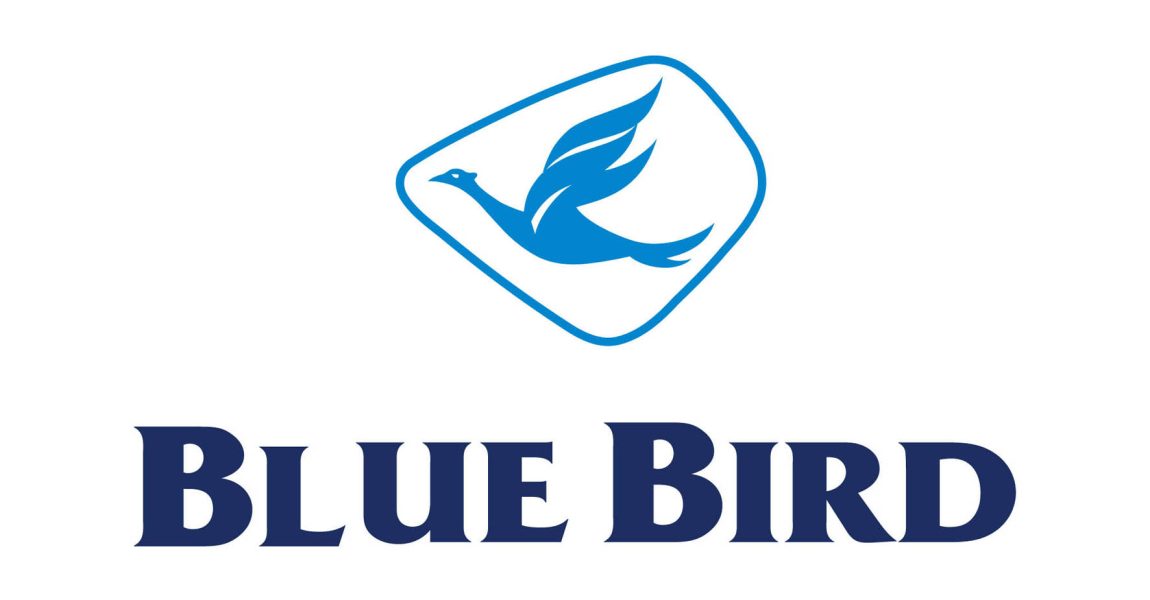 bluebird